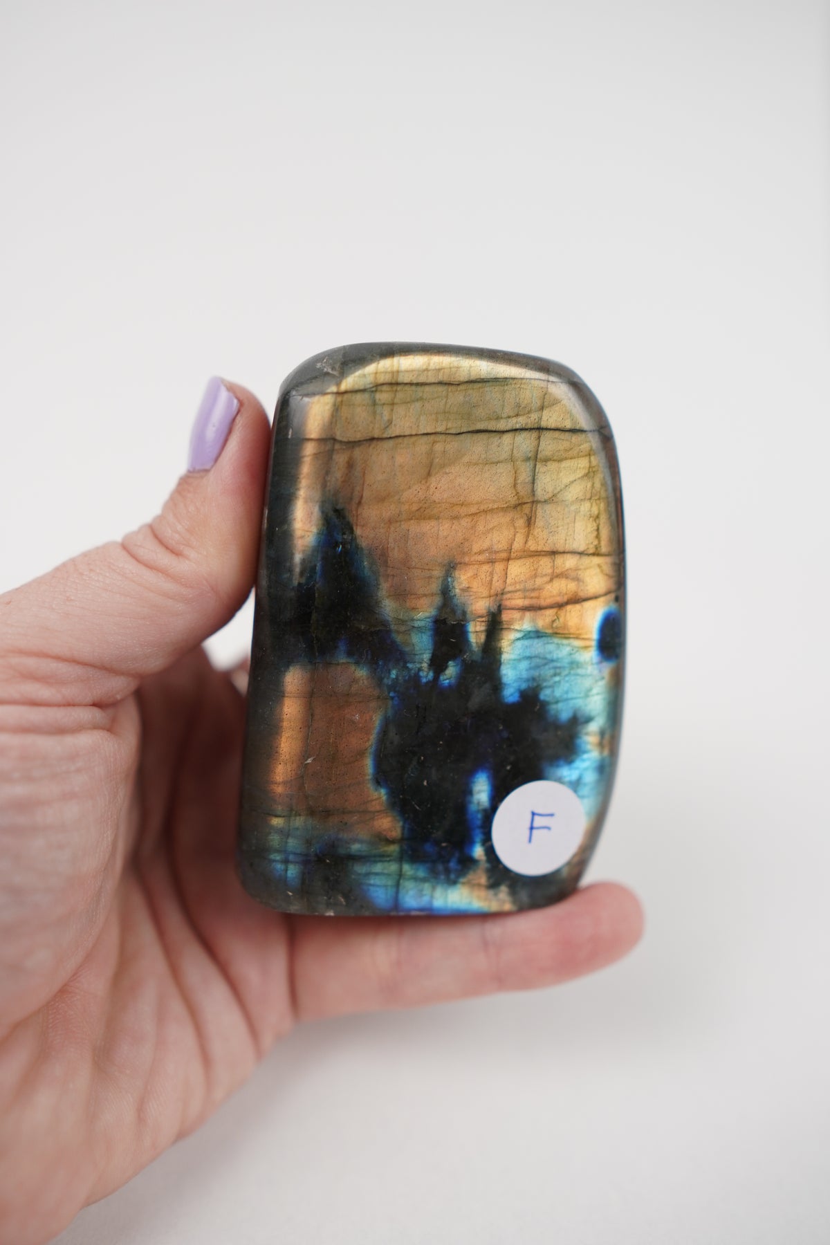 Labradorite- Choose Your Own