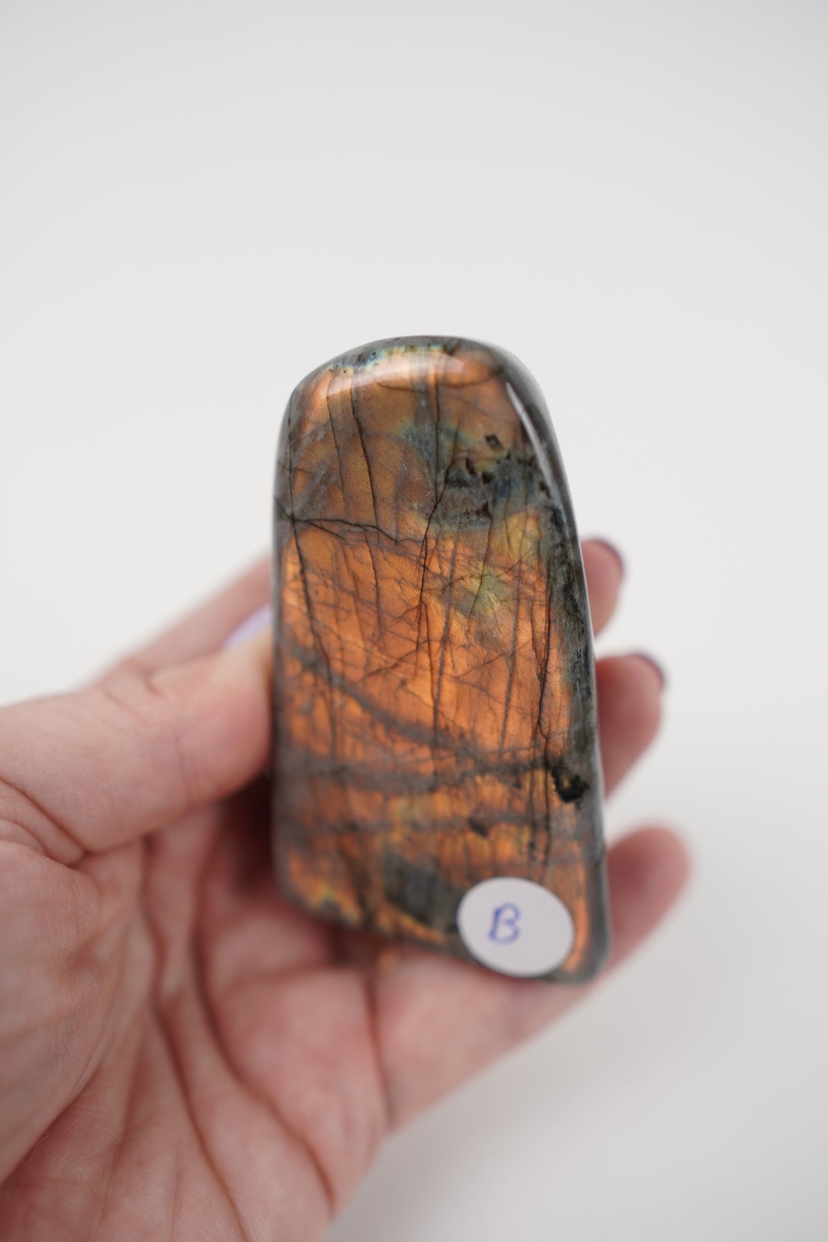 Labradorite Sunset Flash- Choose Your Own