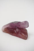 Purple and Yellow Fluorite Lizard