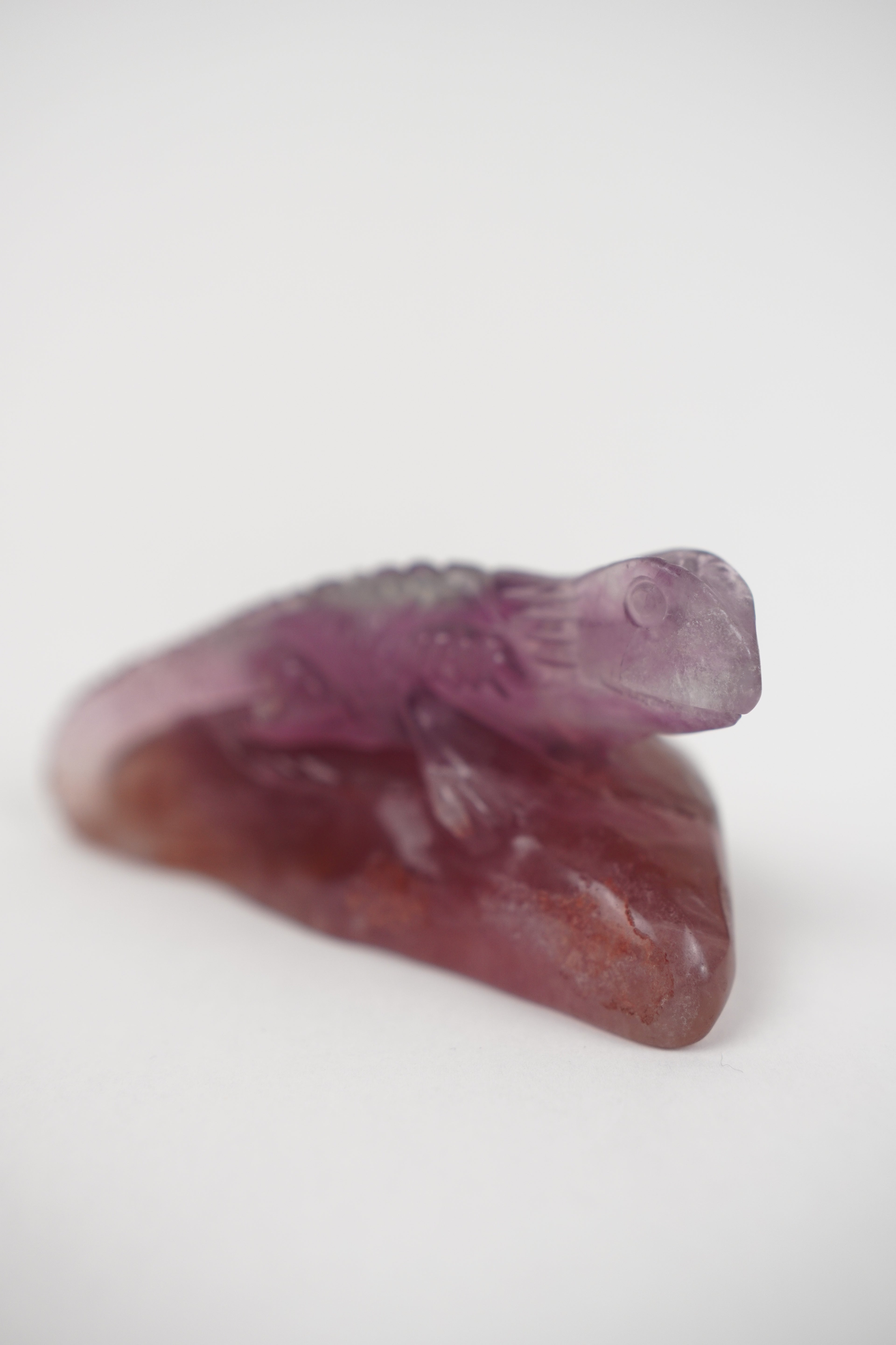 Purple and Yellow Fluorite Lizard