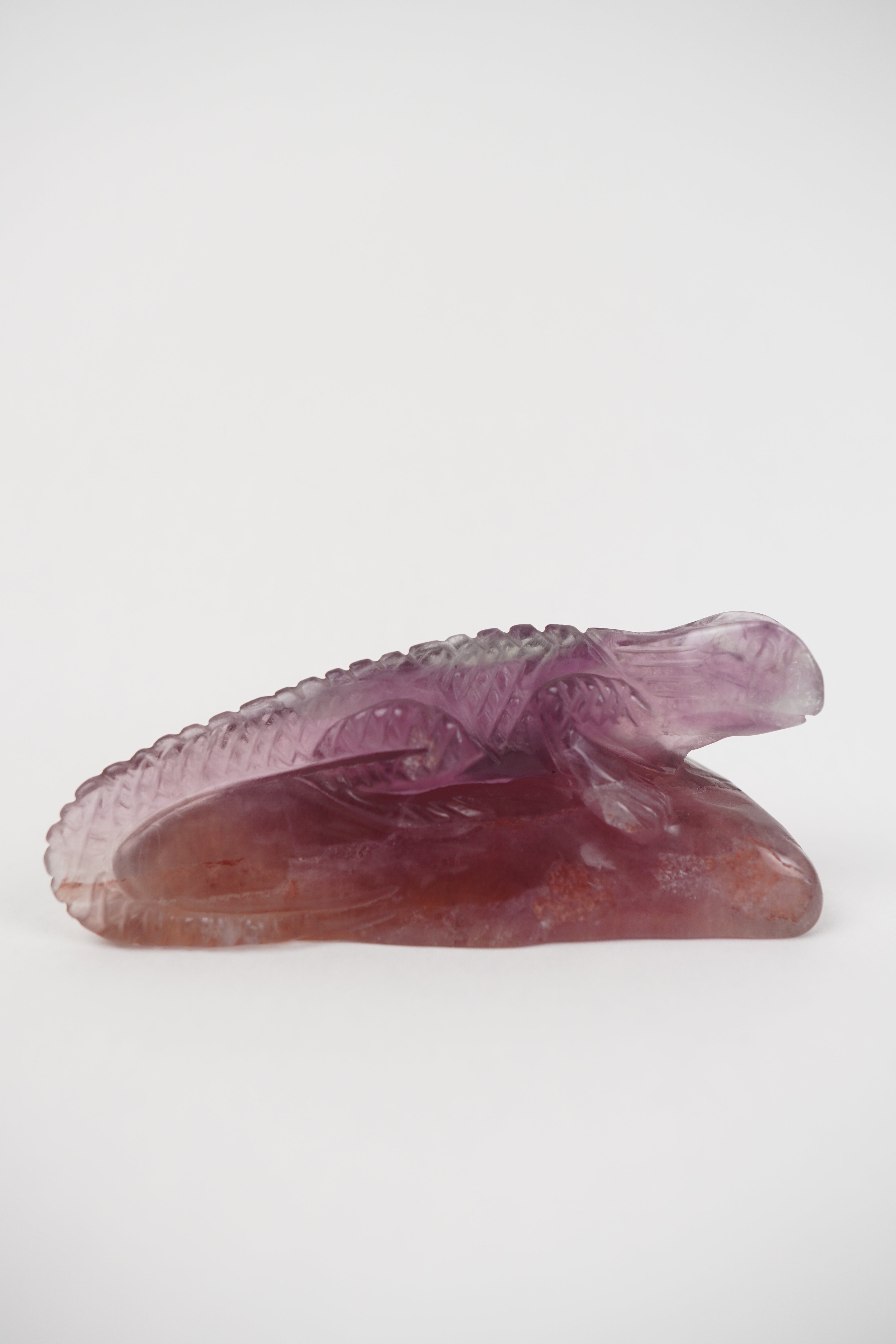 Purple and Yellow Fluorite Lizard