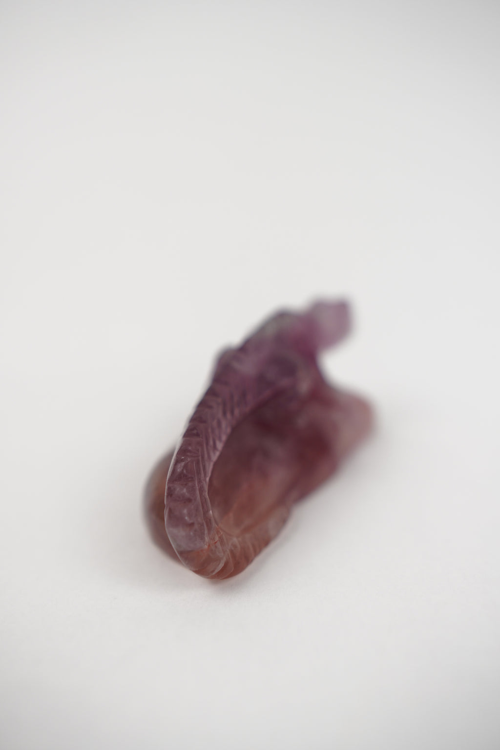 Purple and Yellow Fluorite Lizard