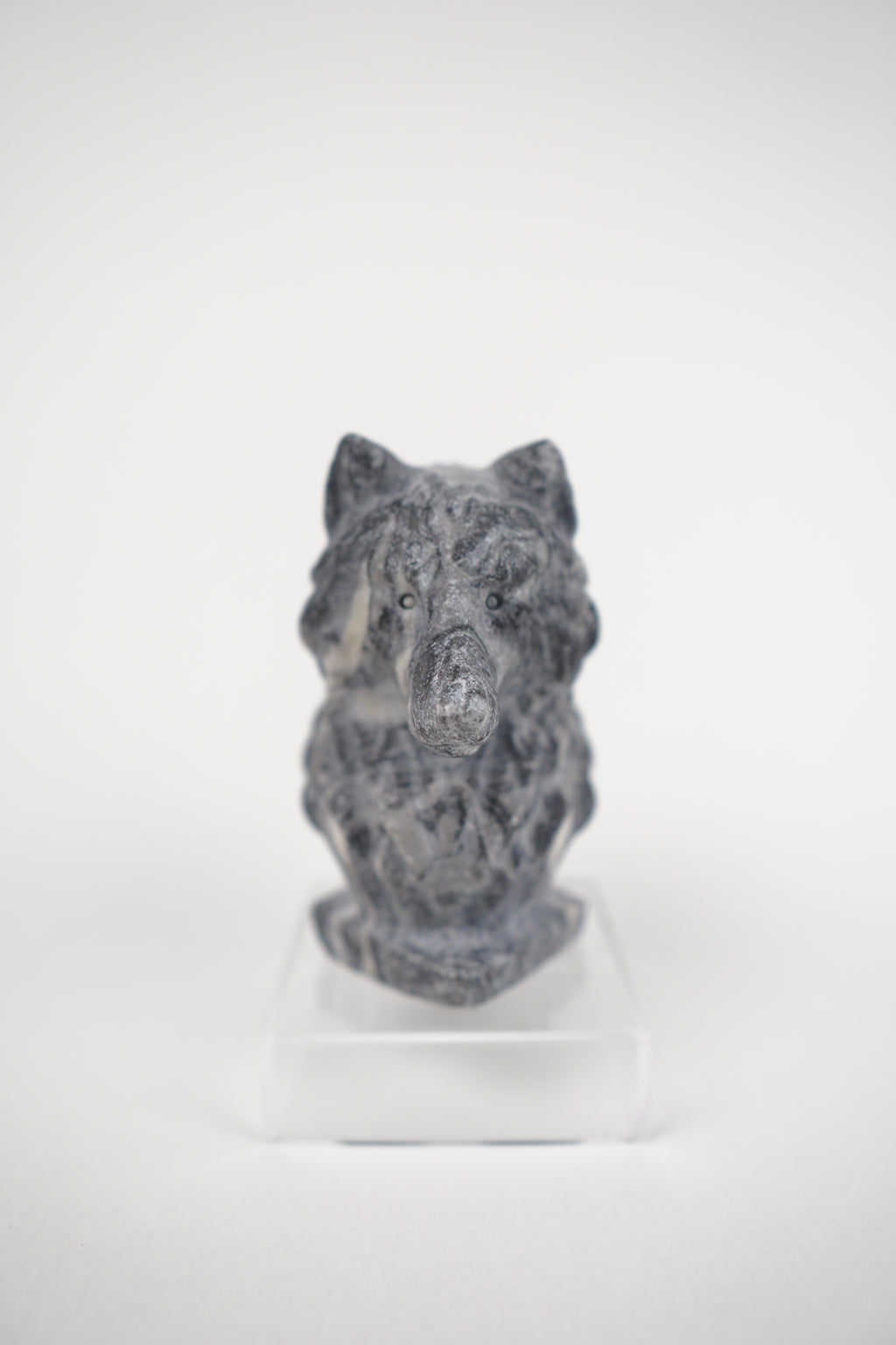 Zebra Jasper Wolf