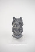 Zebra Jasper Wolf