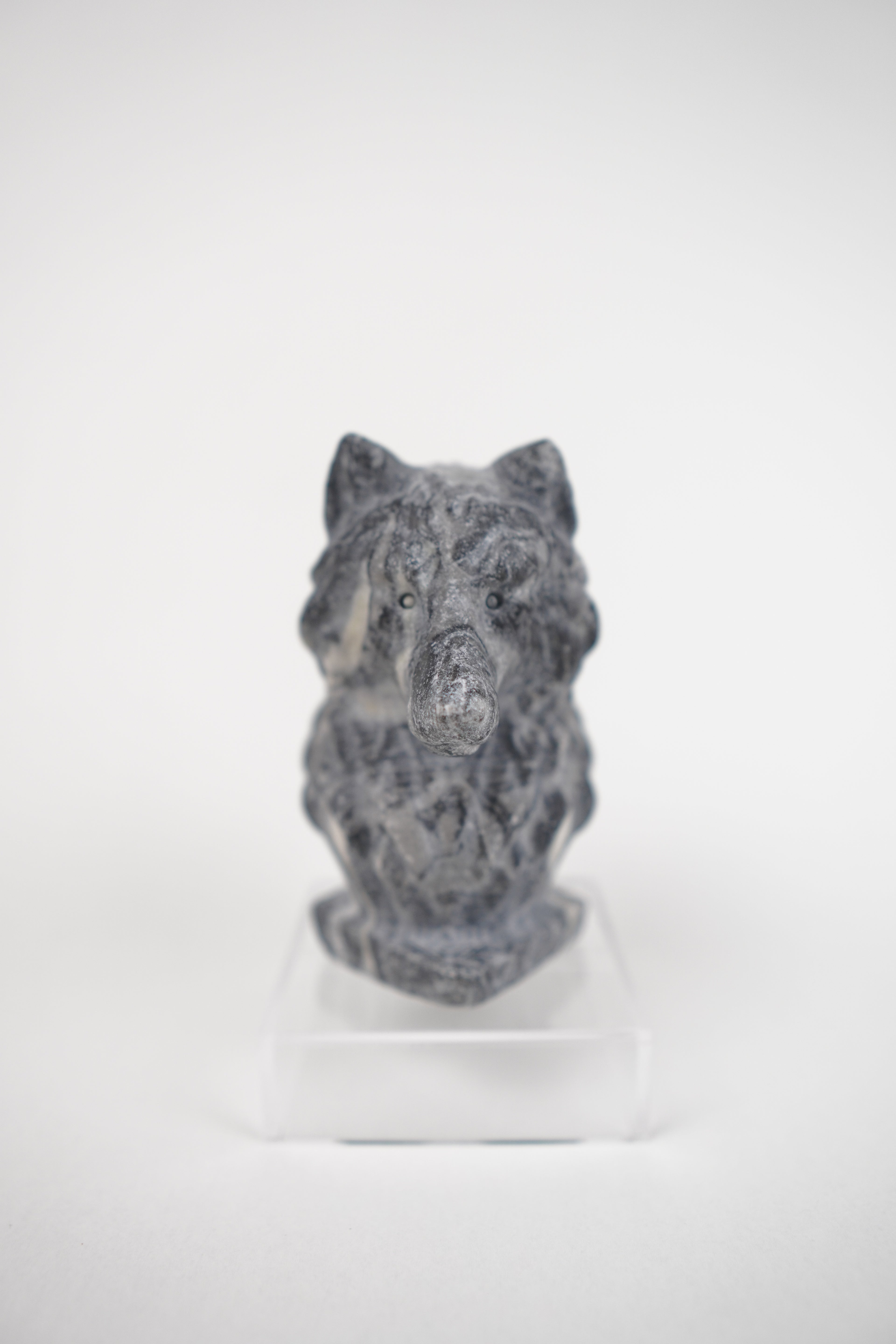Zebra Jasper Wolf
