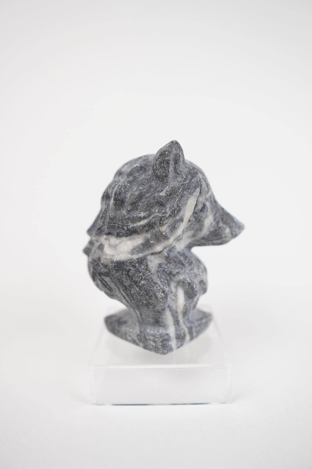 Zebra Jasper Wolf