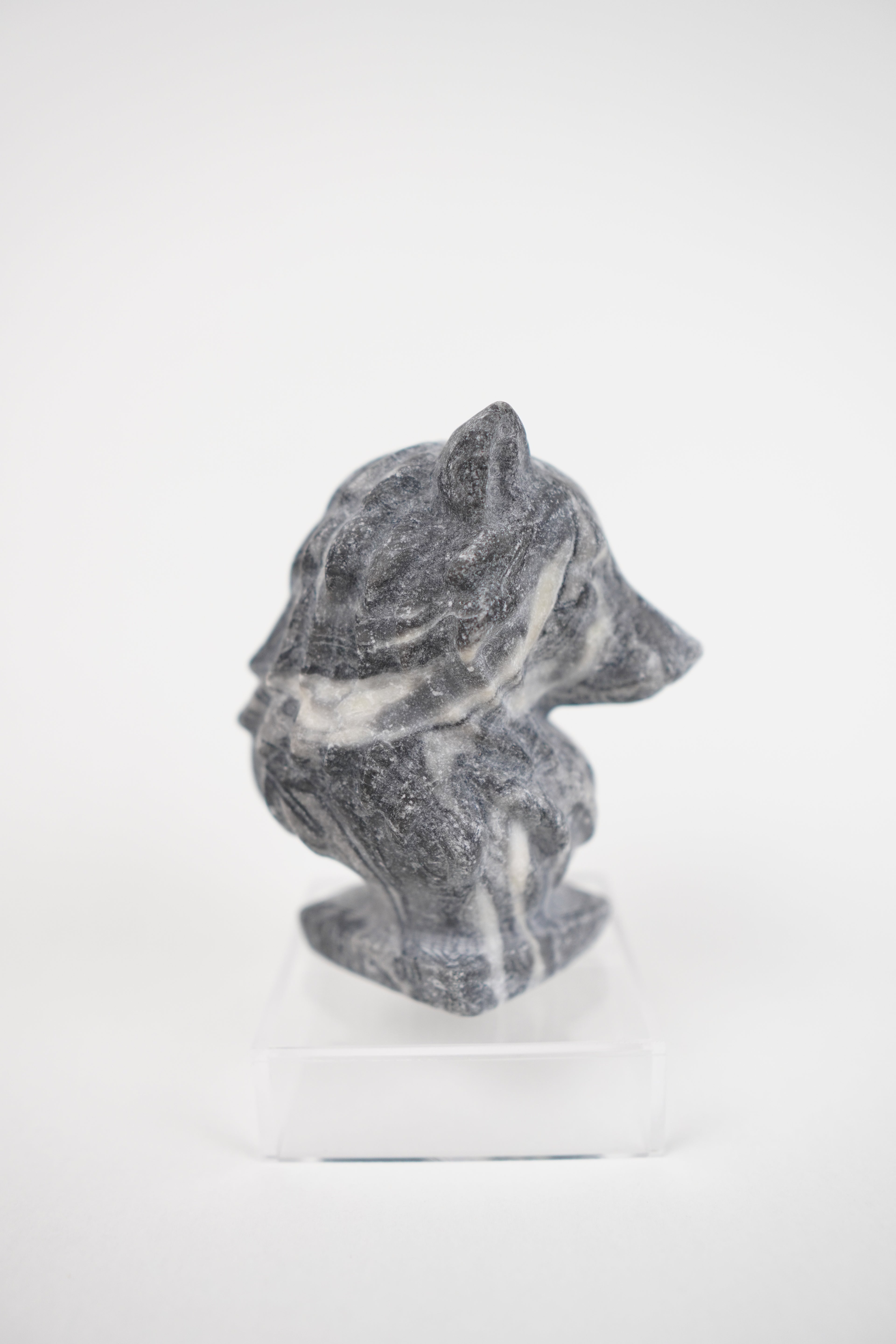 Zebra Jasper Wolf