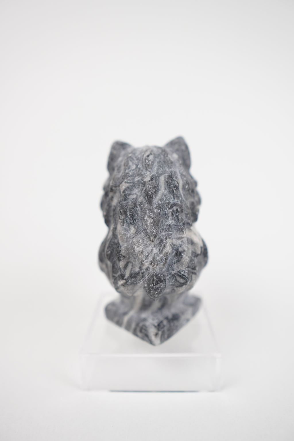 Zebra Jasper Wolf