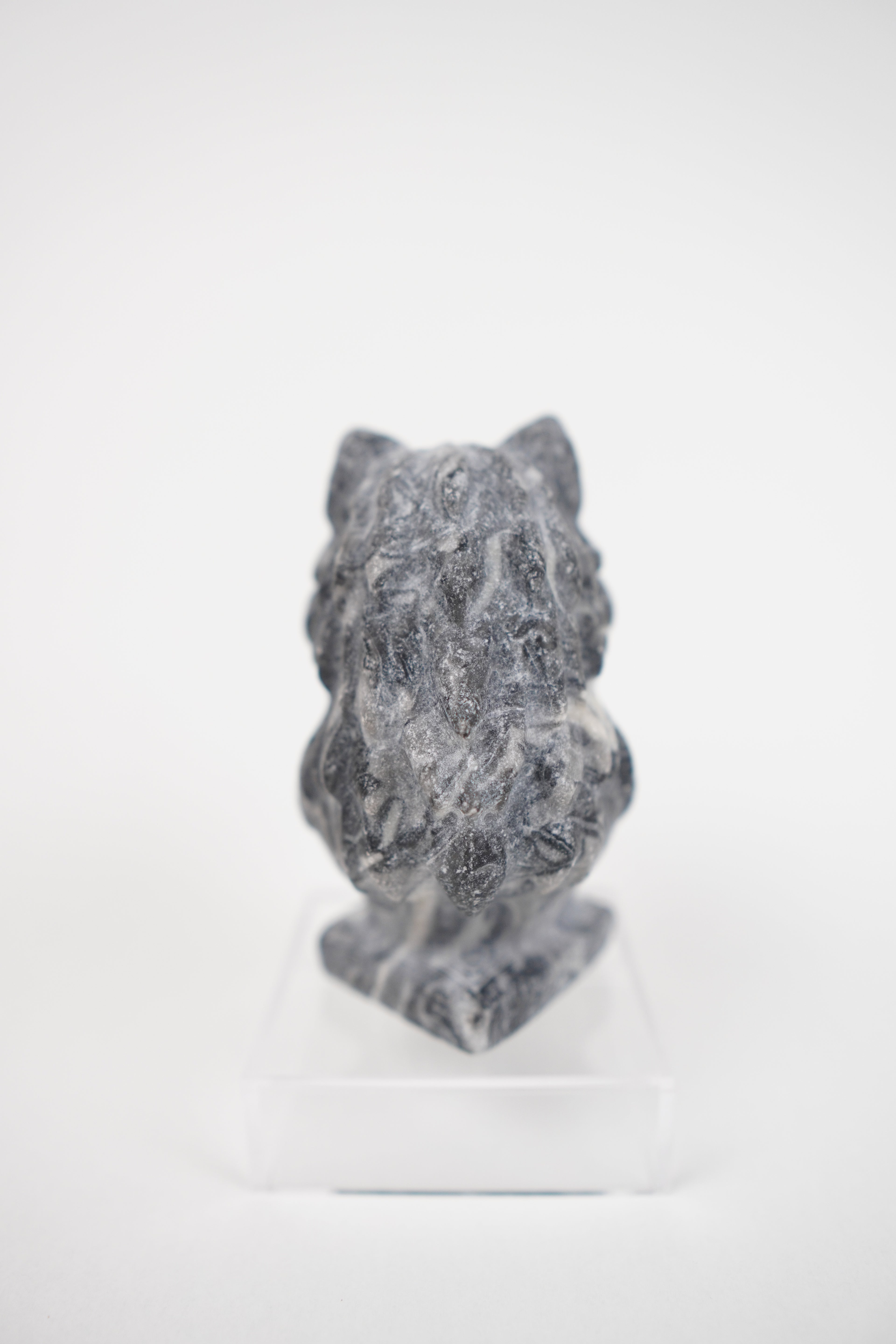 Zebra Jasper Wolf