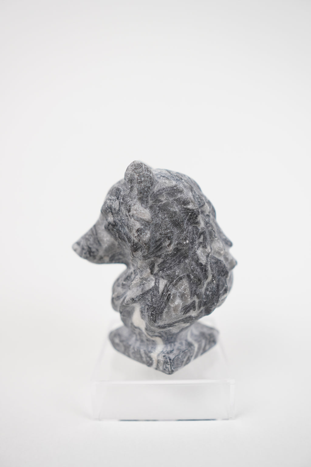 Zebra Jasper Wolf