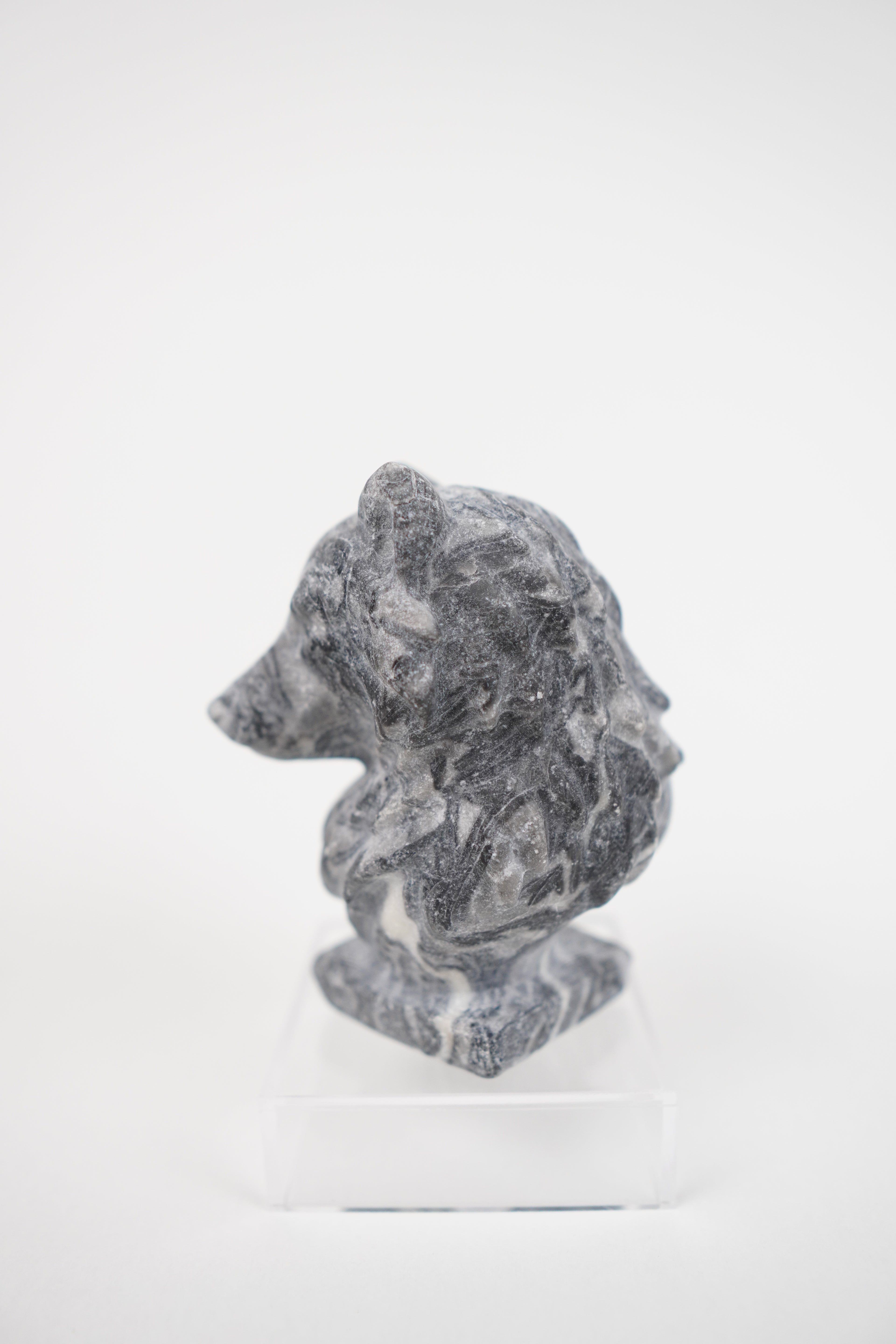 Zebra Jasper Wolf