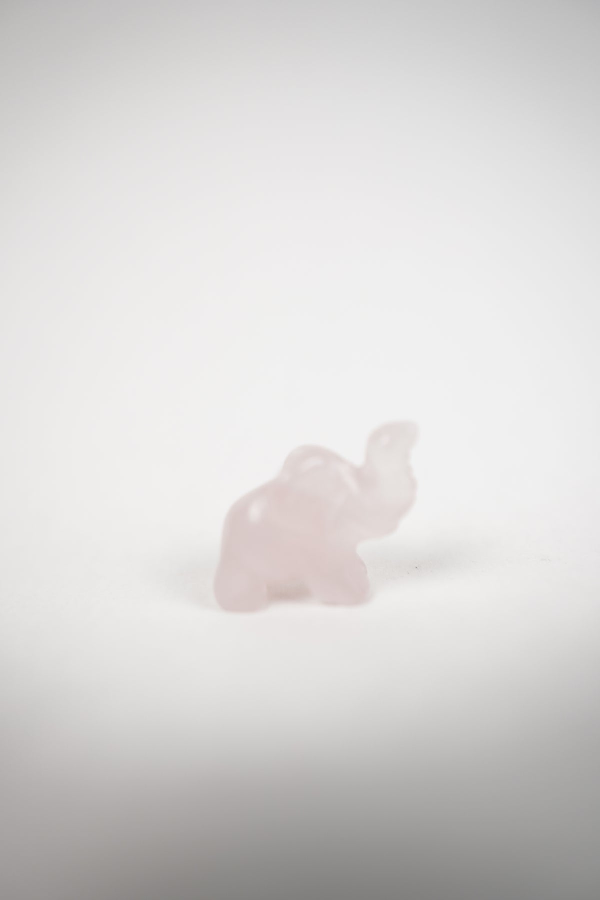 Mini Elephant Carvings