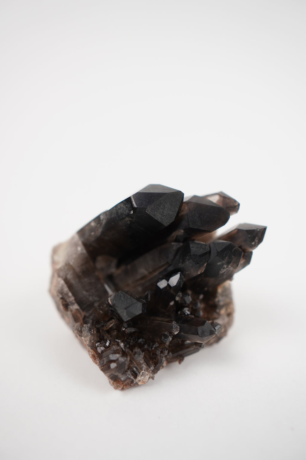 Smoky Quartz Cluster