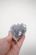 Blue Celestite Cluster