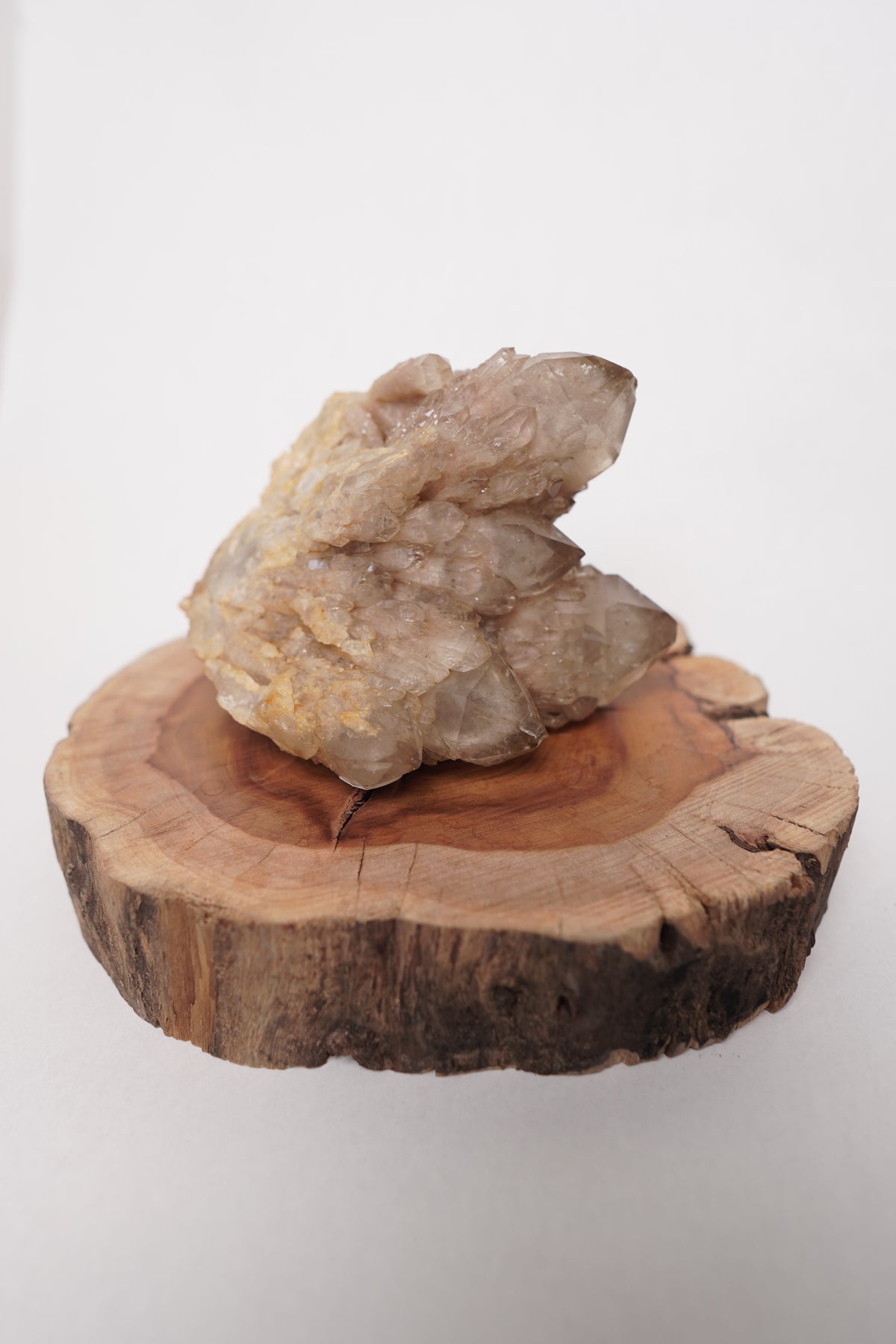 White Phantom Smoky Cluster