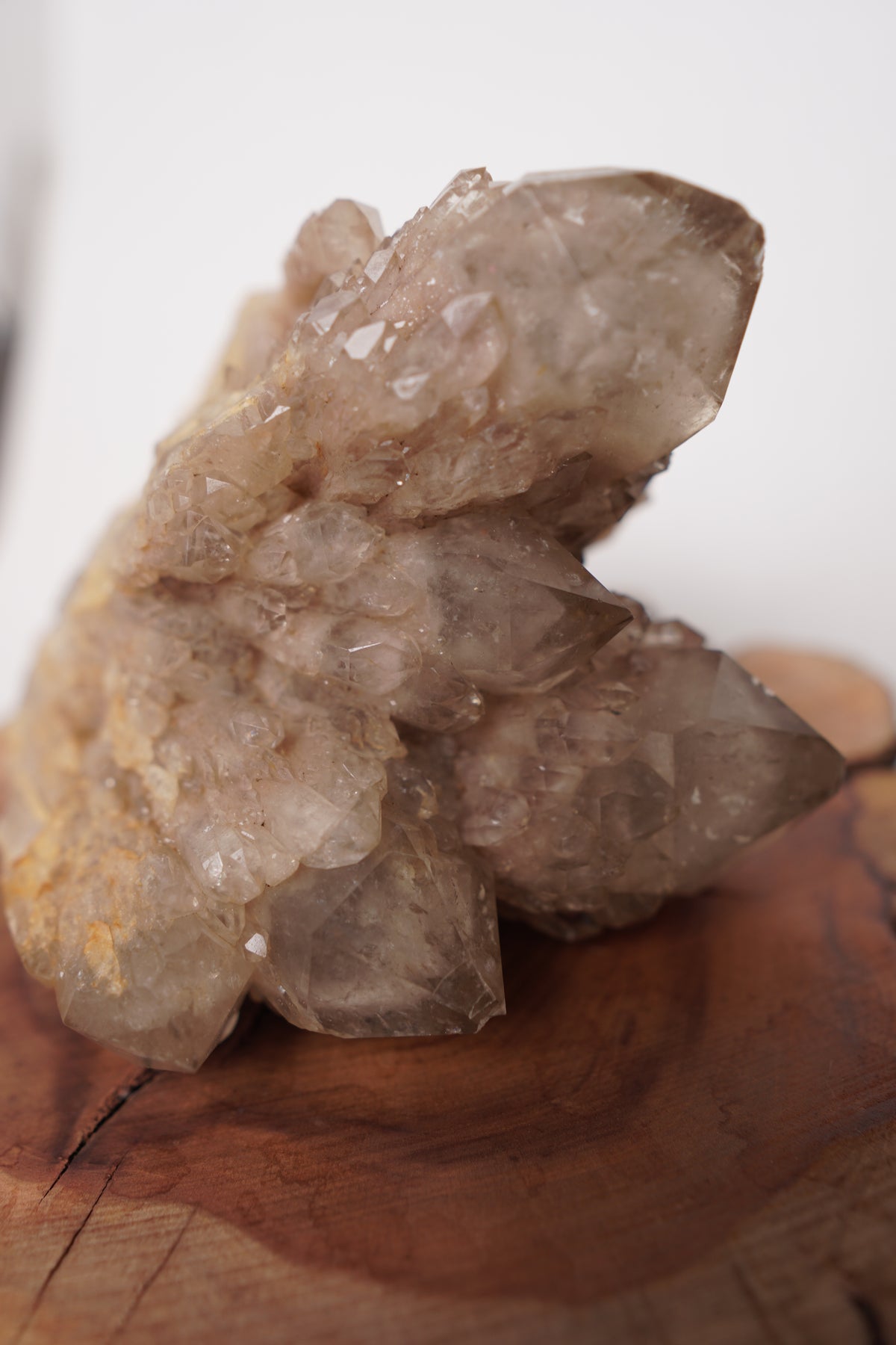 White Phantom Smoky Cluster