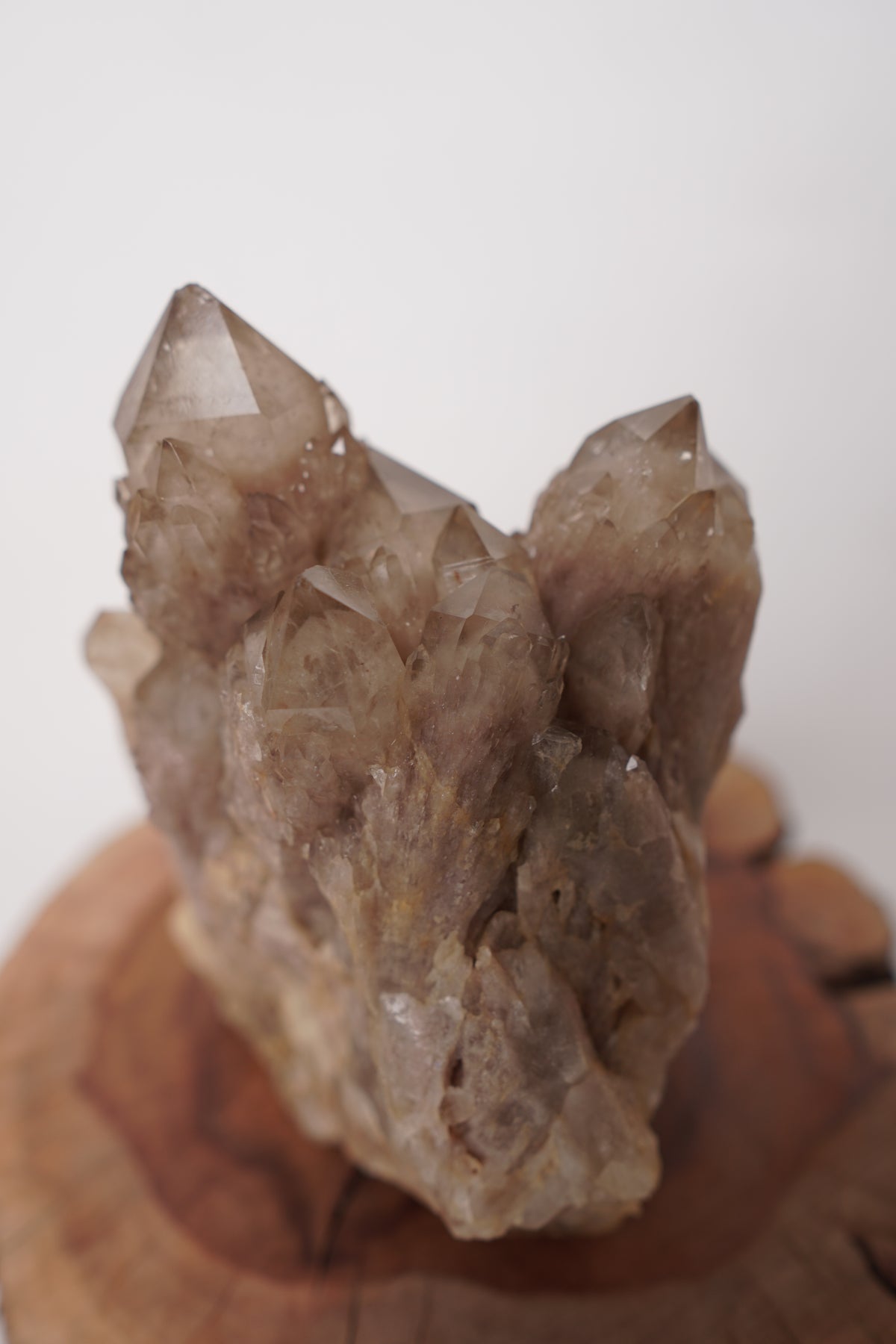 White Phantom Smoky Cluster