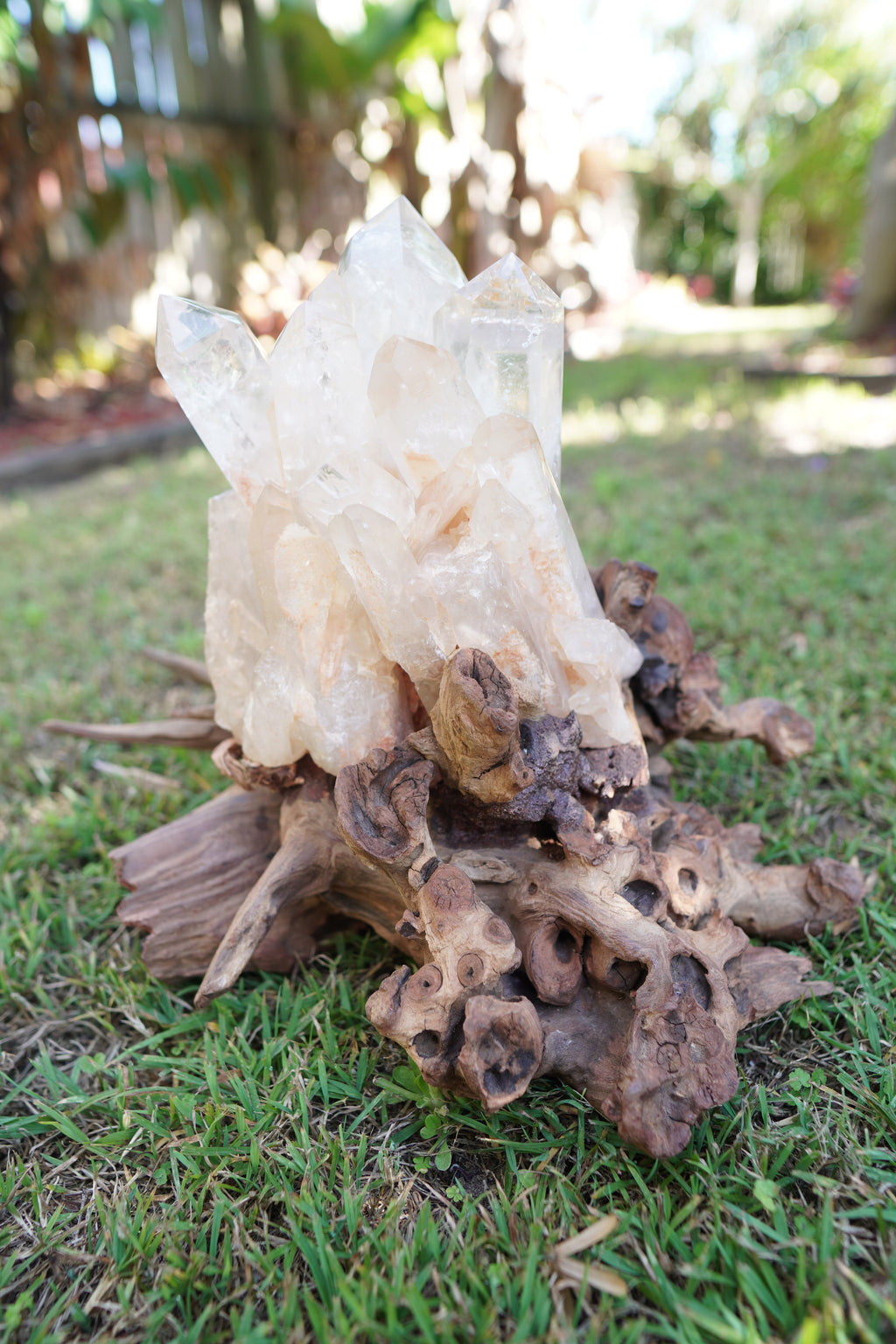 Madagascan Clear Quartz Cluster on Custom Stand