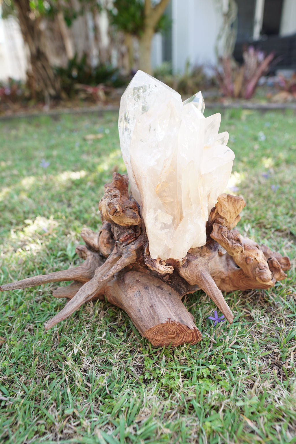 Madagascan Clear Quartz Cluster on Custom Stand