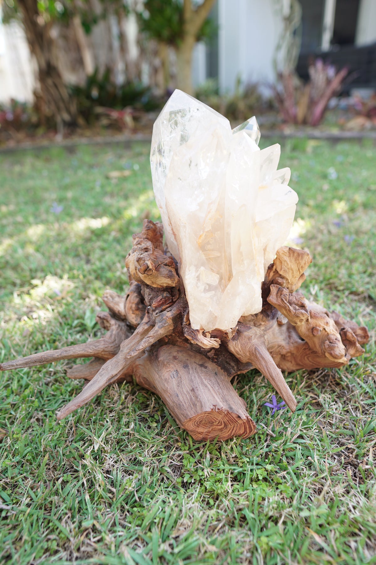 Madagascan Clear Quartz Cluster on Custom Stand