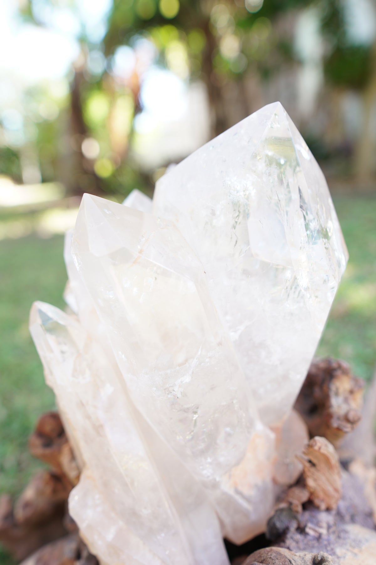 Madagascan Clear Quartz Cluster on Custom Stand