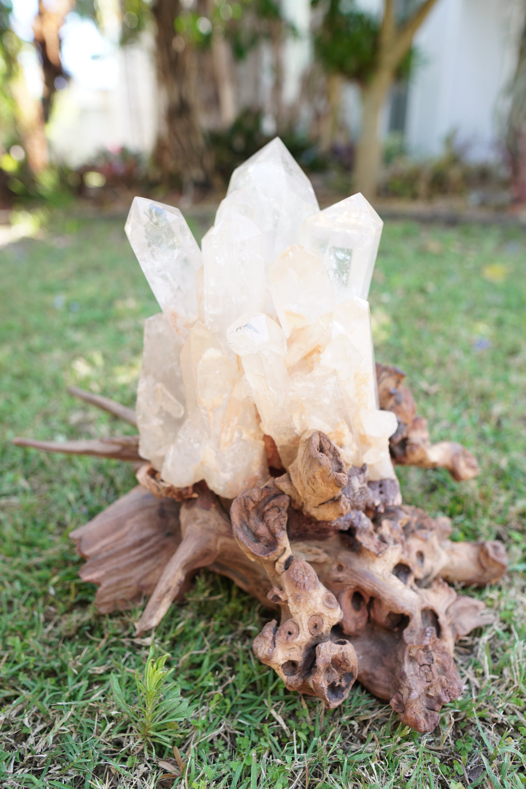 Madagascan Clear Quartz Cluster on Custom Stand