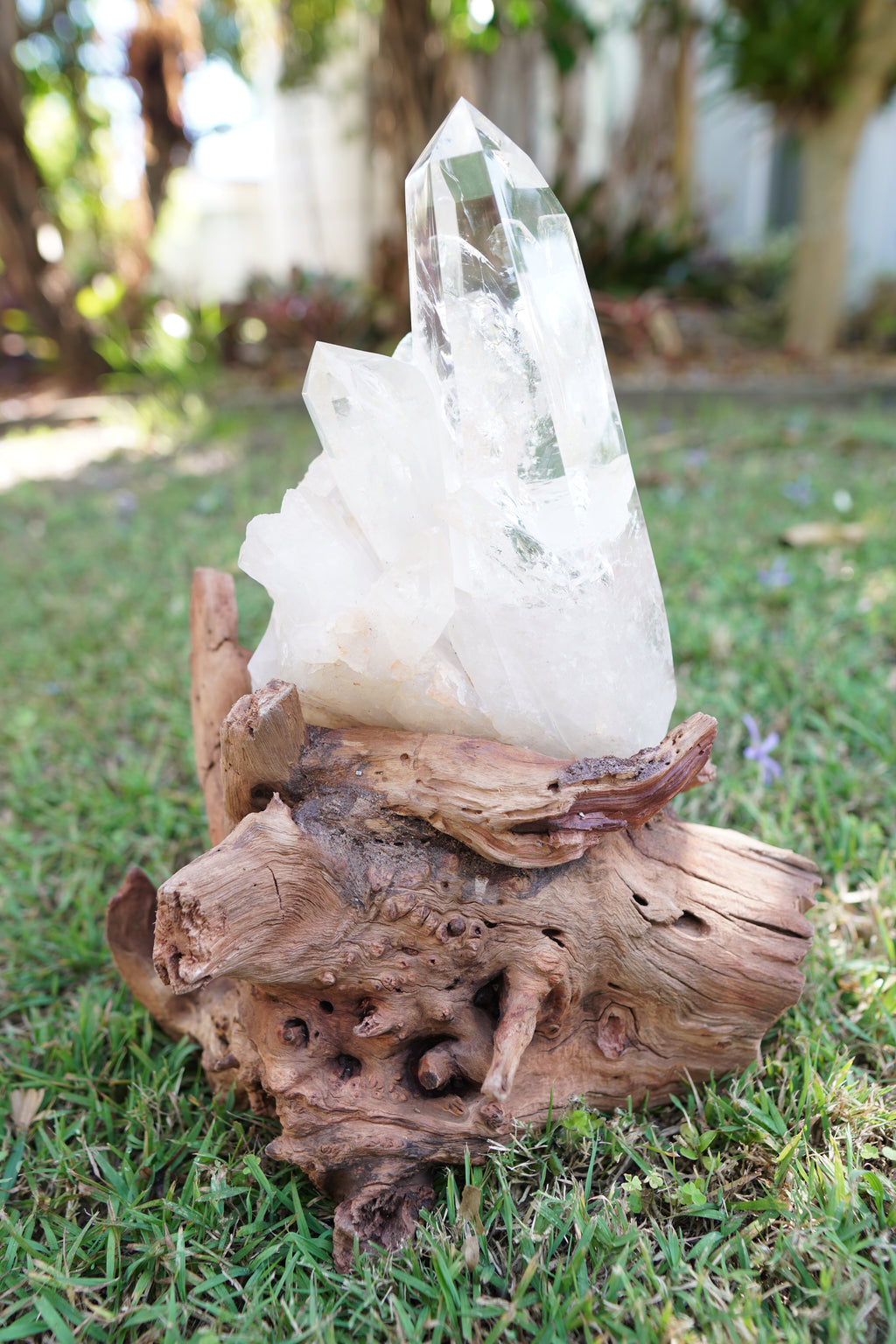 Madagascan Clear Quartz Cluster with Custom Stand