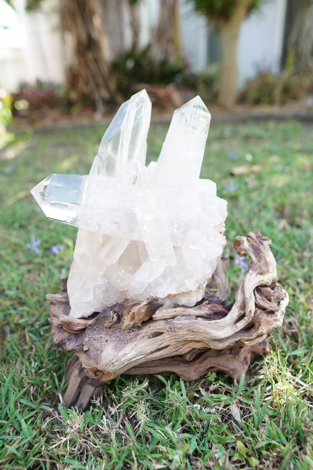 Madagascan Clear Quartz Cluster on Custom Stand