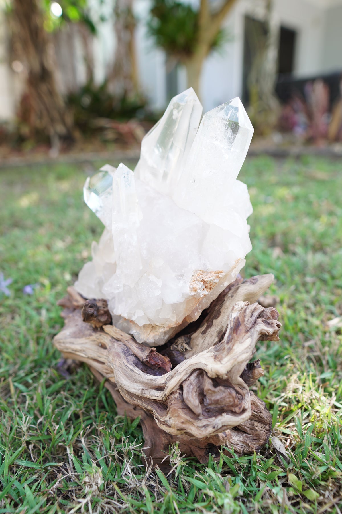 Madagascan Clear Quartz Cluster on Custom Stand