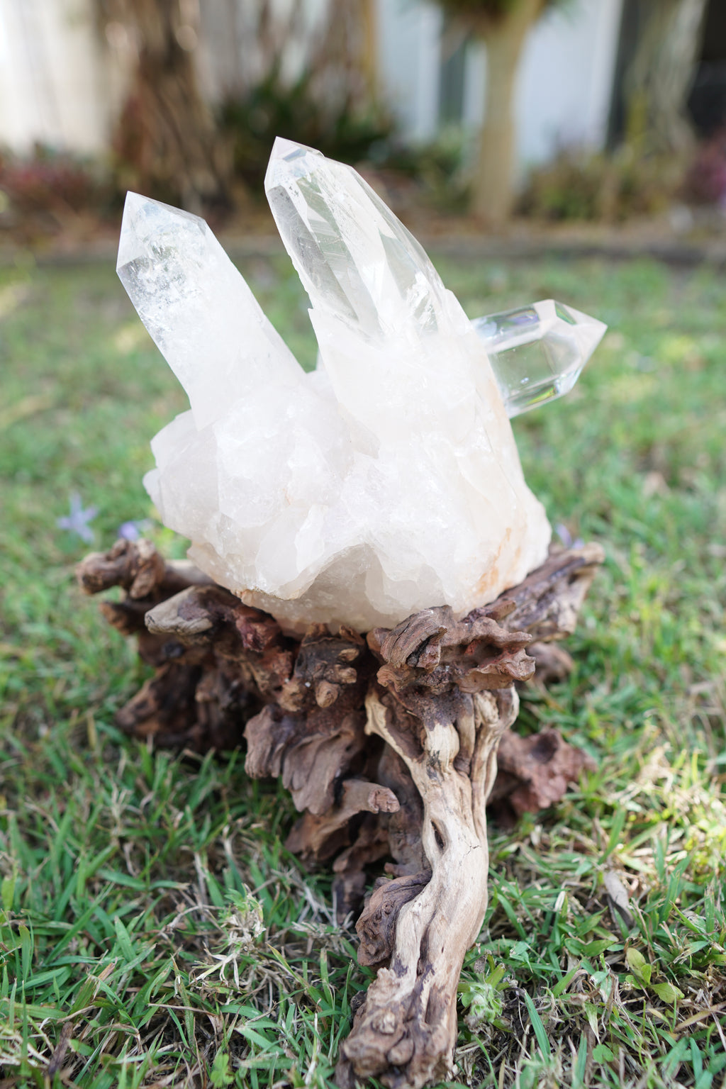 Madagascan Clear Quartz Cluster on Custom Stand