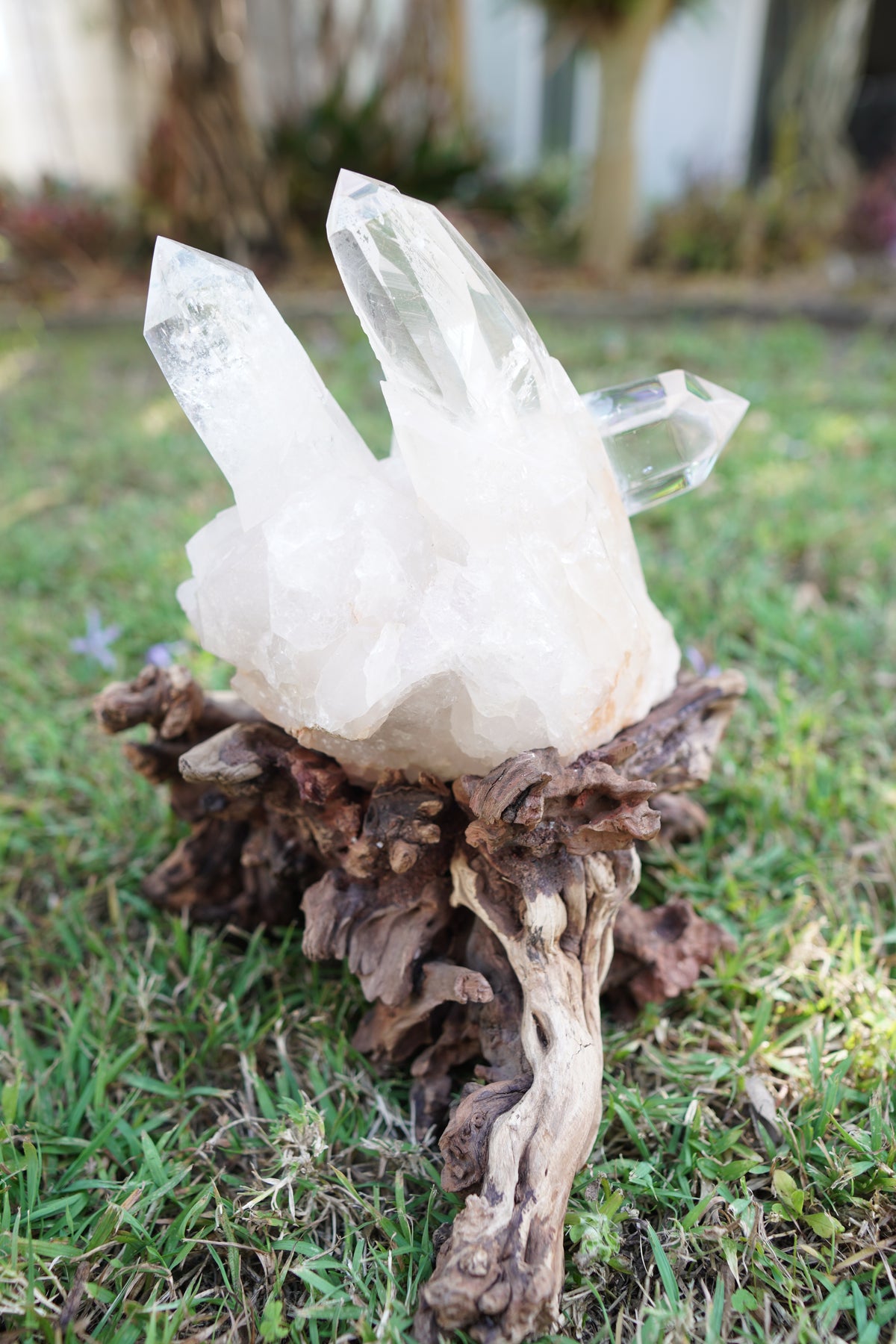 Madagascan Clear Quartz Cluster on Custom Stand