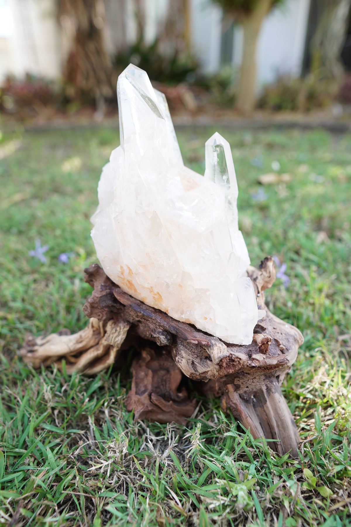 Madagascan Clear Quartz Cluster on Custom Stand