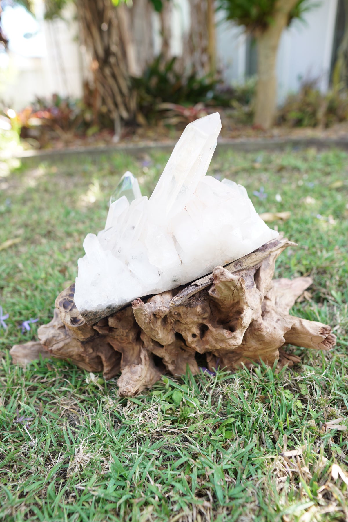 Madagascan Clear Quartz Cluster on Custom Stand