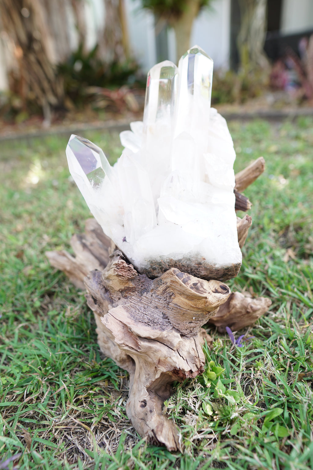 Madagascan Clear Quartz Cluster on Custom Stand