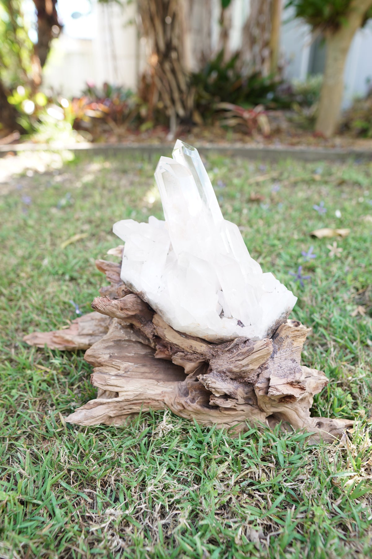 Madagascan Clear Quartz Cluster on Custom Stand
